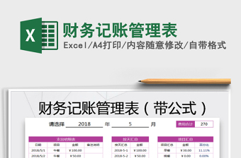 2025年财务记账管理表