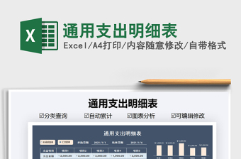 2025年通用支出明细表