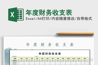 2025年年度财务收支表