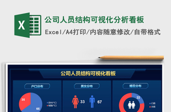 2024年公司人员结构可视化分析看板