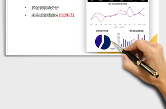 2025年年度业绩分析报表