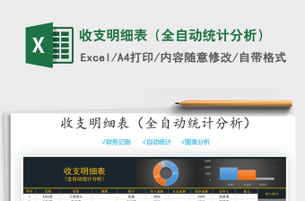 2025年收支明细表（全自动统计分析）