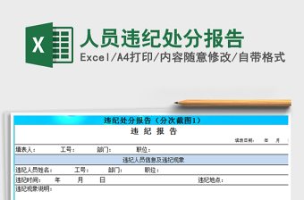 2025年人员违纪处分报告