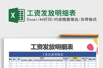 2025年工资发放明细表