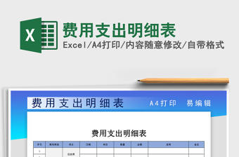 支出明细表