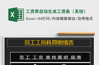 2025年工资表自动生成工资条（系统）