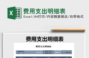 费用支出明细表