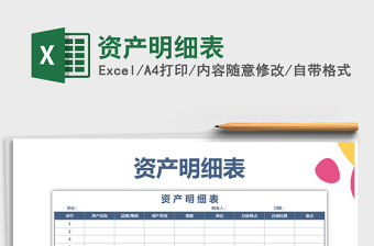 2025年资产明细表