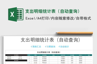 2025年支出明细统计表（自动查询）