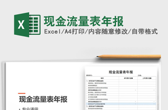 2025年现金流量表年报