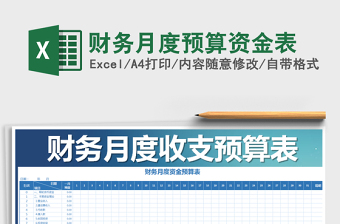 2025年财务月度预算资金表