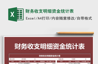 2025年财务收支明细资金统计表