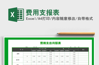 2025年费用支报表