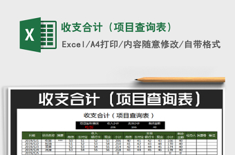 2025年收支合计（项目查询表）