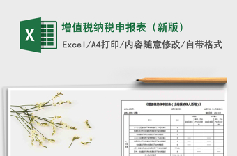 2024年增值税纳税申报表（新版）