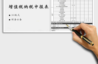 2024年增值税纳税申报表（新版）