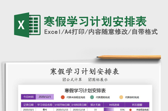 2025年寒假学习计划安排表