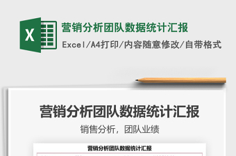 2025年营销分析团队数据统计汇报