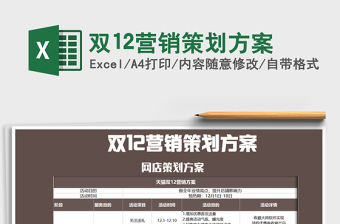 2025年双12营销策划方案