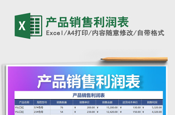 2025年产品销售利润表