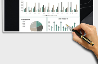 2025年销售数据分析统计表