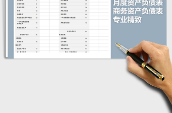 2025年专业精致商务资产负债表