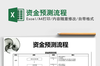 2025年资金预测流程