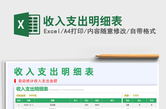 2025年收入支出明细表