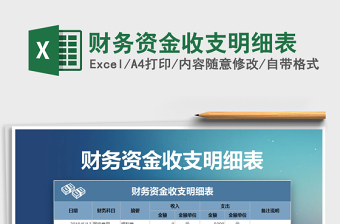 2025年财务资金收支明细表