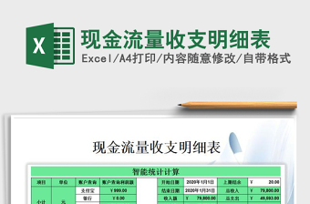 2025年现金流量收支明细表