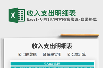 2025年收入支出明细表