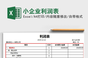 2025年小企业利润表