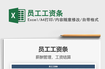 2025年员工工资条