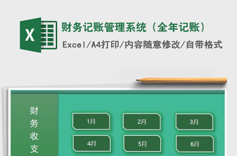 2025年财务记账管理系统（全年记账）
