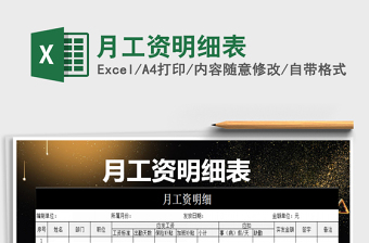 2025年月工资明细表