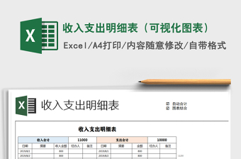 2025年收入支出明细表（可视化图表）