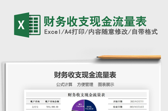 2025年财务收支现金流量表