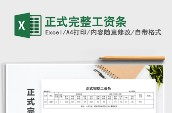 2025年正式完整工资条