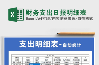 2025年财务支出日报明细表