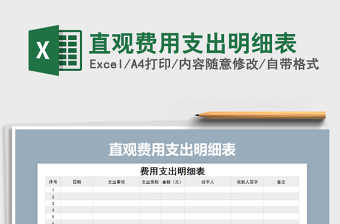 2025年直观费用支出明细表