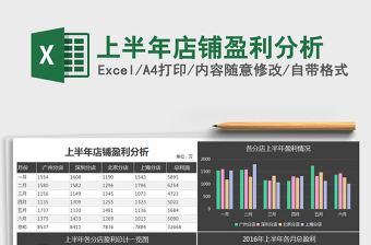 2025年上半年店铺盈利分析