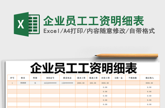 2025年企业员工工资明细表