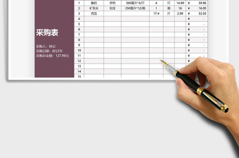 2025年采购明细费用支出表