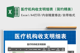 2025年医疗机构收支明细表（简约精美）
