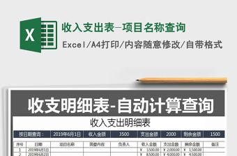 2025年收入支出表-项目名称查询