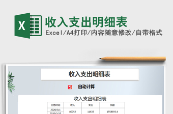 2025年收入支出明细表