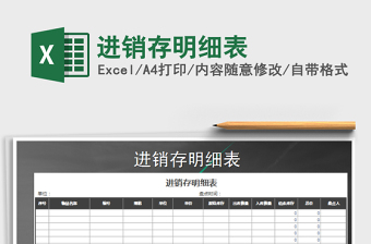 2025年进销存明细表