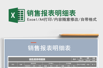 2025年销售报表明细表