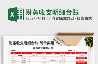 2025年财务收支明细台账