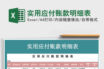 2025年实用应付账款明细表